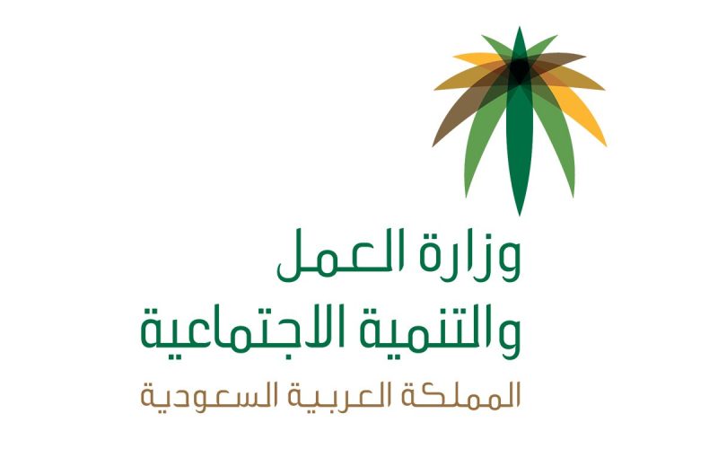 طريقة الاستعلام عن موظف وافد 1444 بالخطوات وزارة الموارد البشرية 2 طريقة الاستعلام عن موظف وافد 1444 بالخطوات وزارة الموارد البشرية