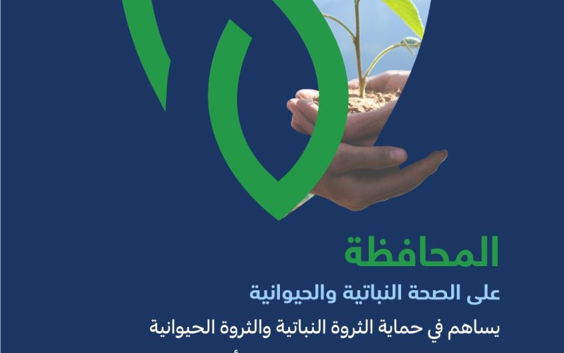 وقاء يعلن تفاصيل موسم انتشار الجراد 2023 بالسعودية وتأثيره على المحاصيل الزراعية 2 وقاء يعلن تفاصيل موسم انتشار الجراد 2023 بالسعودية وتأثيره على المحاصيل الزراعية