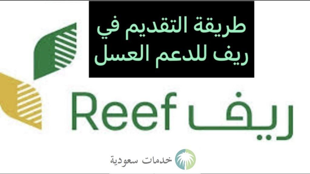 طريقة التسجيل في دعم ريف للعسل 1447 الشروط وخطوات الاستعلام 2 طريقة التسجيل في دعم ريف للعسل 1447 الشروط وخطوات الاستعلام