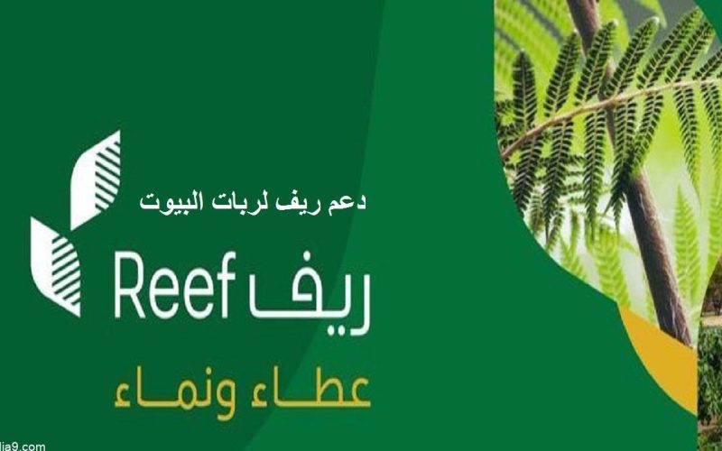 طريقة التقديم في دعم ريف لربات البيوت 1444-2023 وكم الدعم ؟ 2 طريقة التقديم في دعم ريف لربات البيوت 1444-2023 وكم الدعم ؟