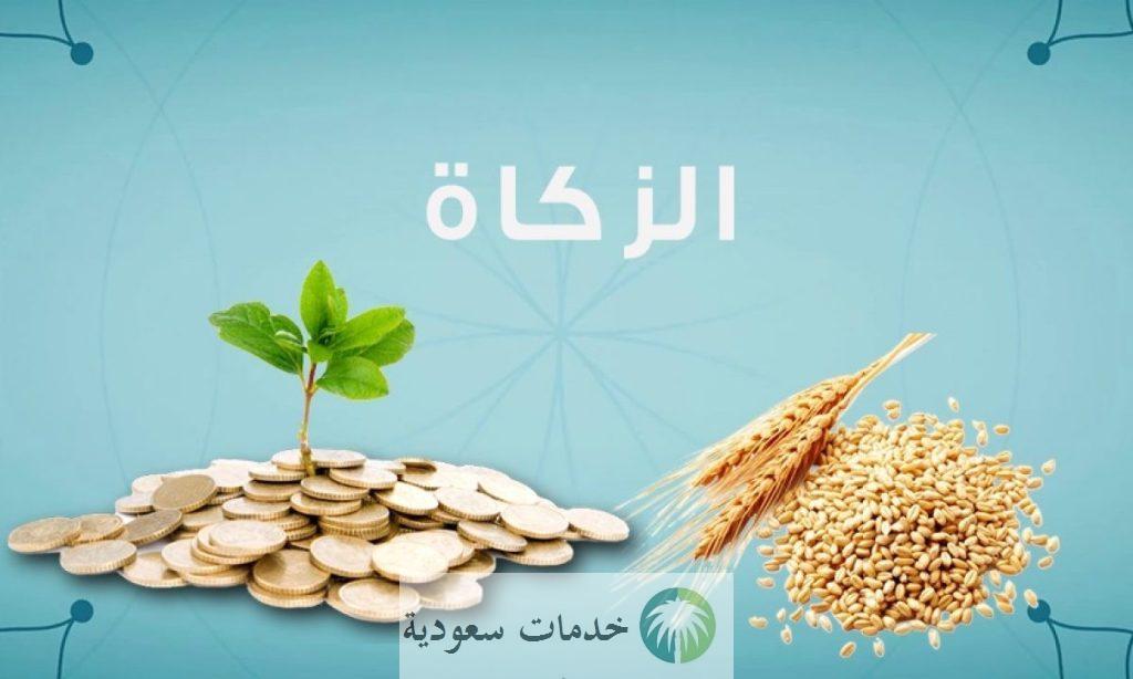 كيف ادفع زكاة الفطر عن طريق زكاتي إلكترونيا بالخطوات ؟ 1 كيف ادفع زكاة الفطر عن طريق زكاتي