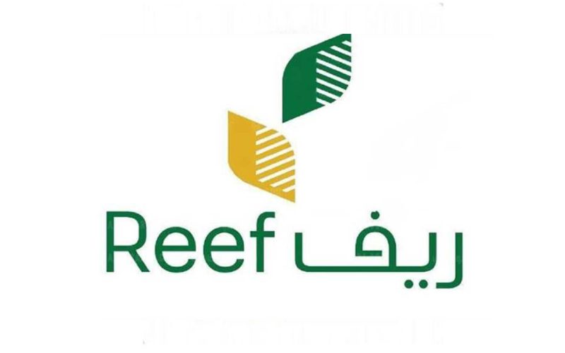 البيئة توضح خطوات استعلام دعم مربي المواشي 1445-2023 والشروط اللازمة للتسجيل من خلال أنعام 2 البيئة توضح خطوات استعلام دعم مربي المواشي 1445-2023 والشروط اللازمة للتسجيل من خلال أنعام