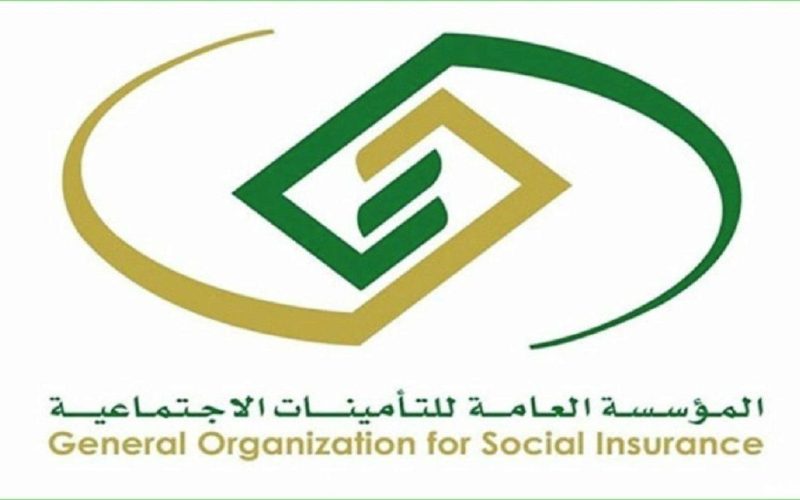 كم نسبة التأمينات على الأجانب والخصم لغير السعوديين ؟ الحاسبة التقديرية للتأمينات توضح 2 كم نسبة التأمينات على الأجانب والخصم لغير السعوديين ؟ الحاسبة التقديرية للتأمينات توضح