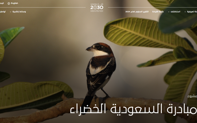137 مليون شجرة حصيلة مبادرة السعودية الخضراء حتى 2025